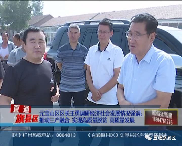 元宝山区区长王勇调研经济社会发展情况 强调:推动三产融合 实现高