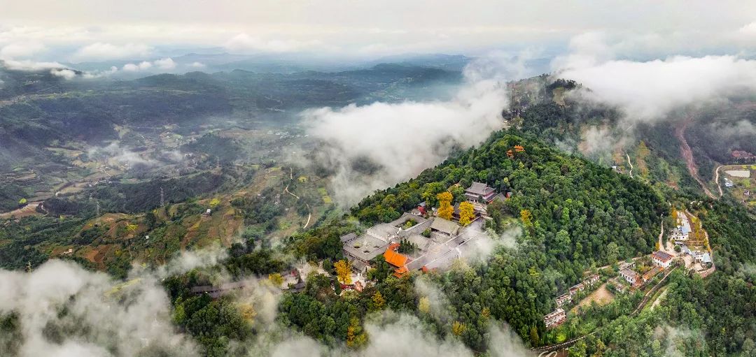 金堂微电台