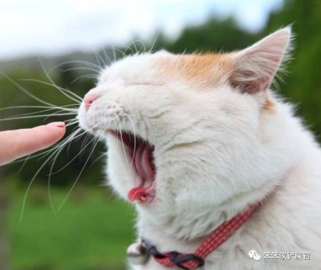 我快不行了,我需要氧气罩~真的是太臭了~差点没把我熏死结果它无视我