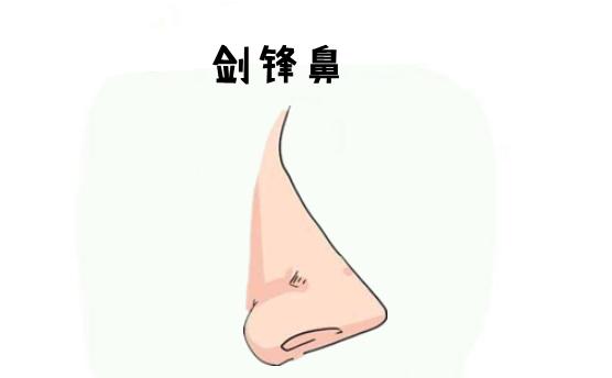 剑锋鼻若是鼻梁端正直挺,但是没有肉,薄可见骨,高耸尖削,好像一把剑锋