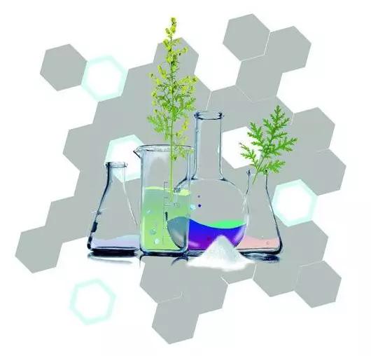 青蒿素攻克狼疮的新希望来了