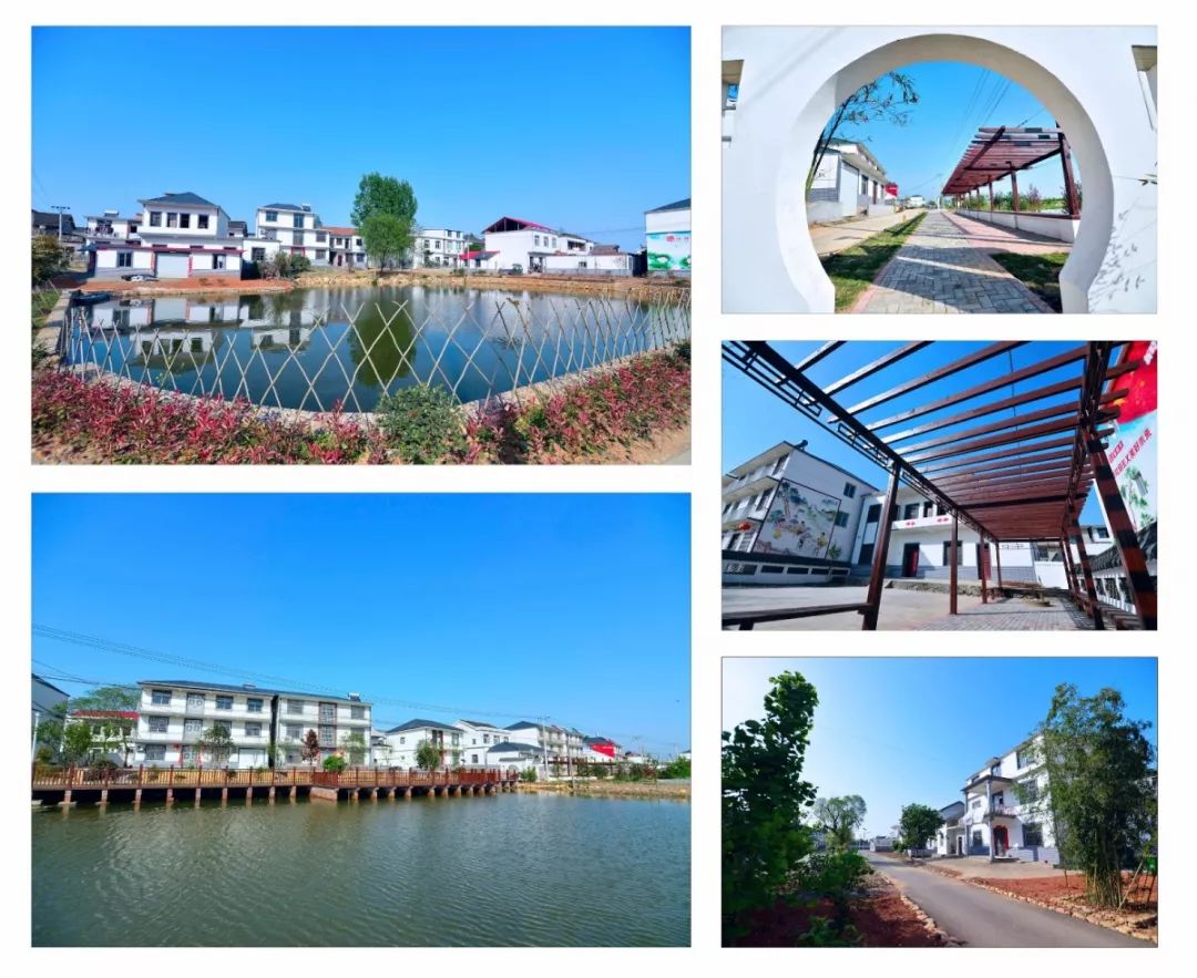 一组美图让您细看港口街镇