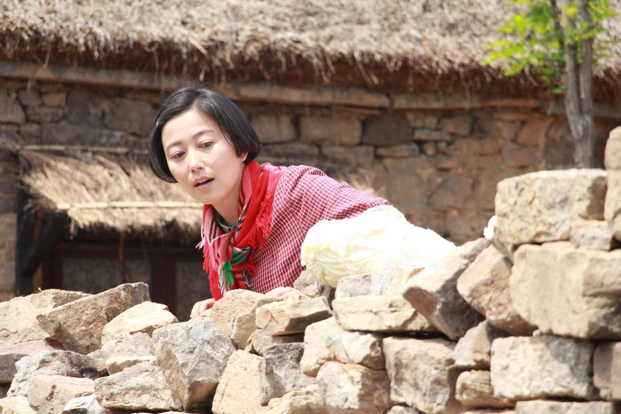 央视热剧在桃花盛开的地方观众呼声高丁柳元再现时代女性风采