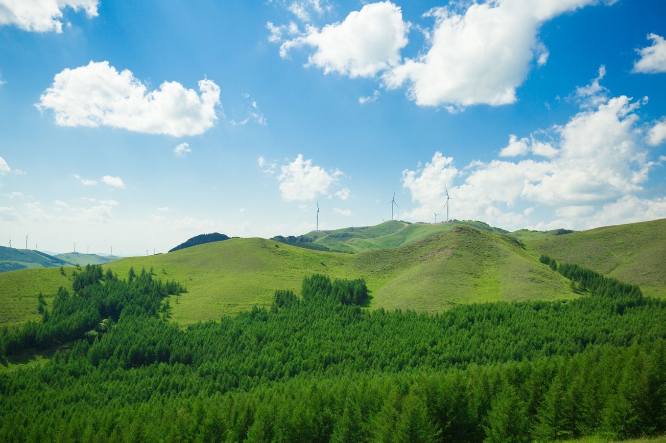 盛夏避暑胜地,遇见十六度的承德七彩森林,晚上需要穿棉袄_草原