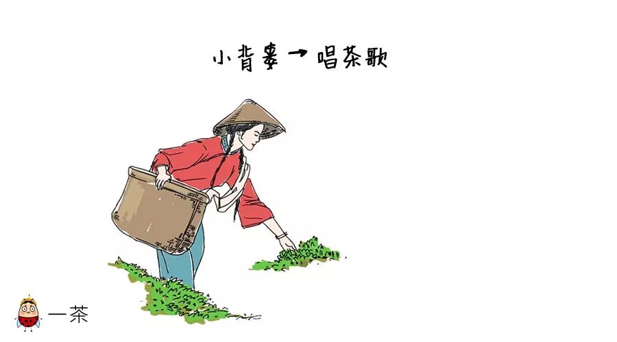 别人眼中的采茶人所以,在很多人的眼里认为茶