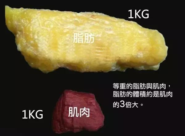 同等体重不同体脂图片图片
