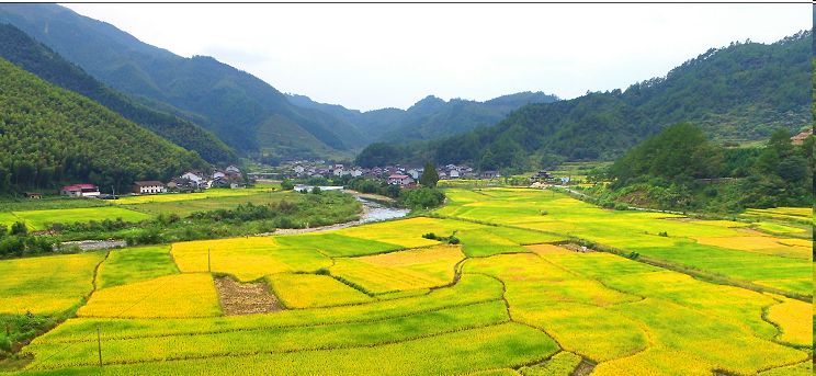 龙泉市宝溪乡溪头村图片