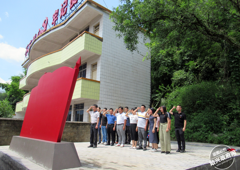 县委常委组织部部长凌雪峰以普通党员身份到隘子镇风度村参加主题党日