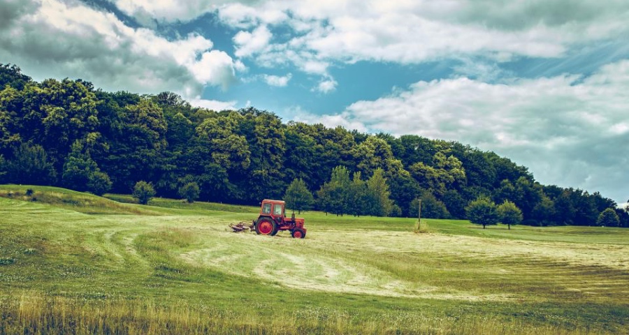 下半年家电C2M定制将加速跑:海尔美的京东天猫同时发力-家电圈官网