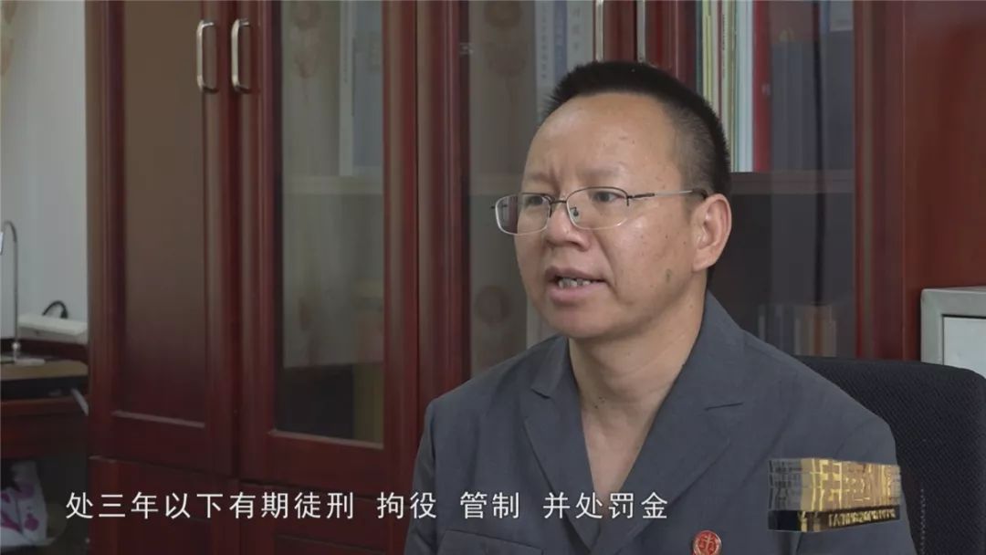 徒刑一年零两个月,并处罚金人民币12000元;被告人李顺发犯盗窃林木罪