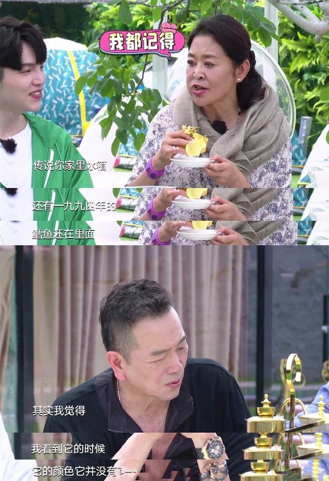 原创笑死个谁倪萍吐槽张晨光秒变段子手他家冰箱还有1994年的冻鱼