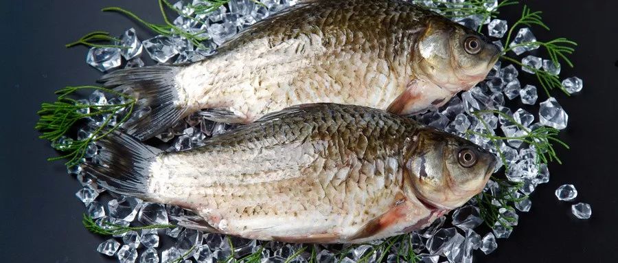 为治胃病,女子生吞了鱼的这个部位,没想到竟亲口把自己送进了icu