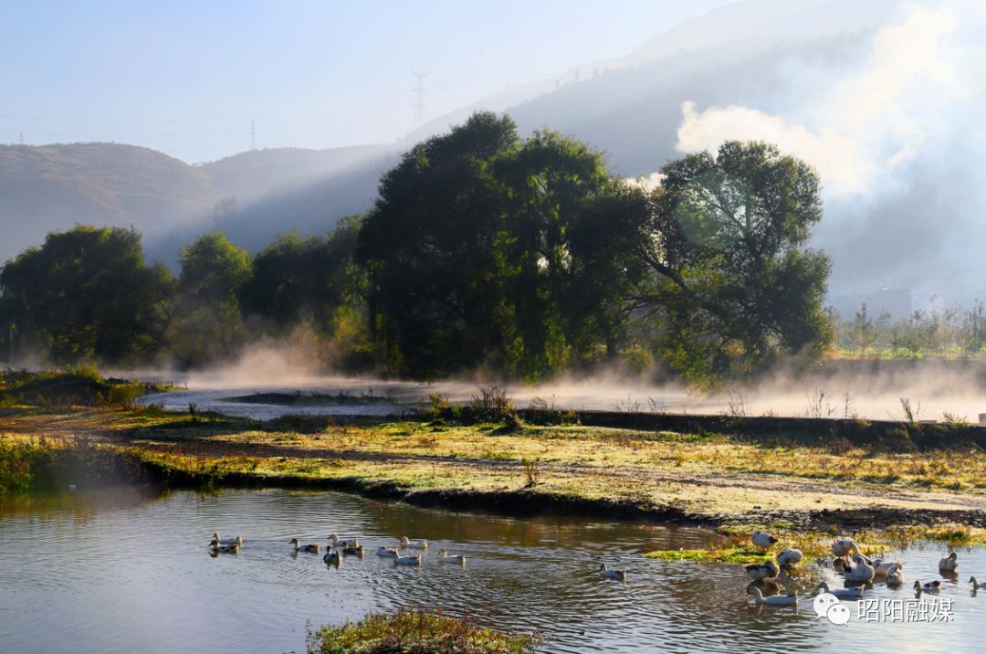 生活如诗景如画来赏洒渔烟柳吧趁阳光正好微风不燥