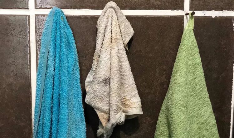 小编推荐丨用大豆做的毛巾,5倍吸湿,aaa级抑菌,老美砸6亿他都不卖!