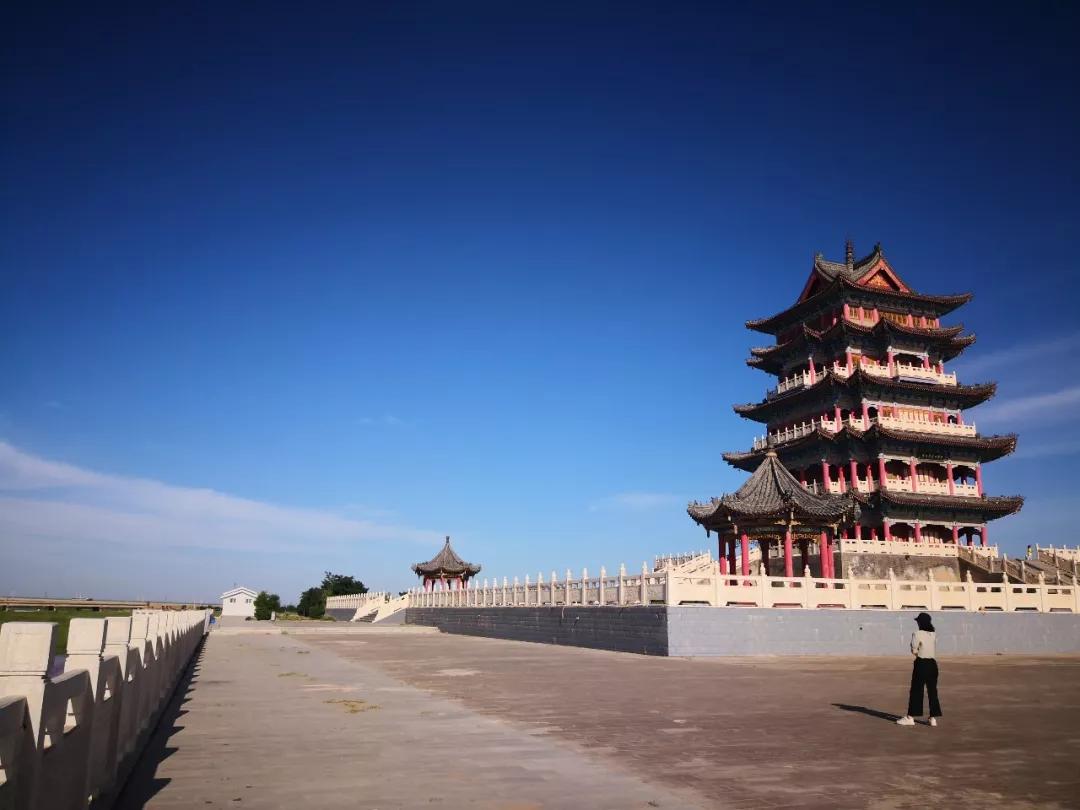 九信枸杞中宁探秘之旅解锁安心品质