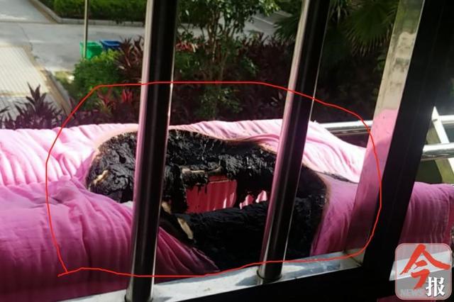 窗外晒棉被突然被烧了个大窟窿受害居民称在失火棉被上发现了一个烟头
