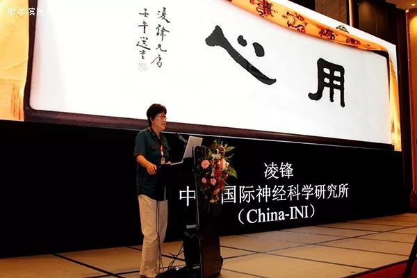 宣武医院凌锋教授做主旨报告中国医师协会名誉主任高金声教授,中国