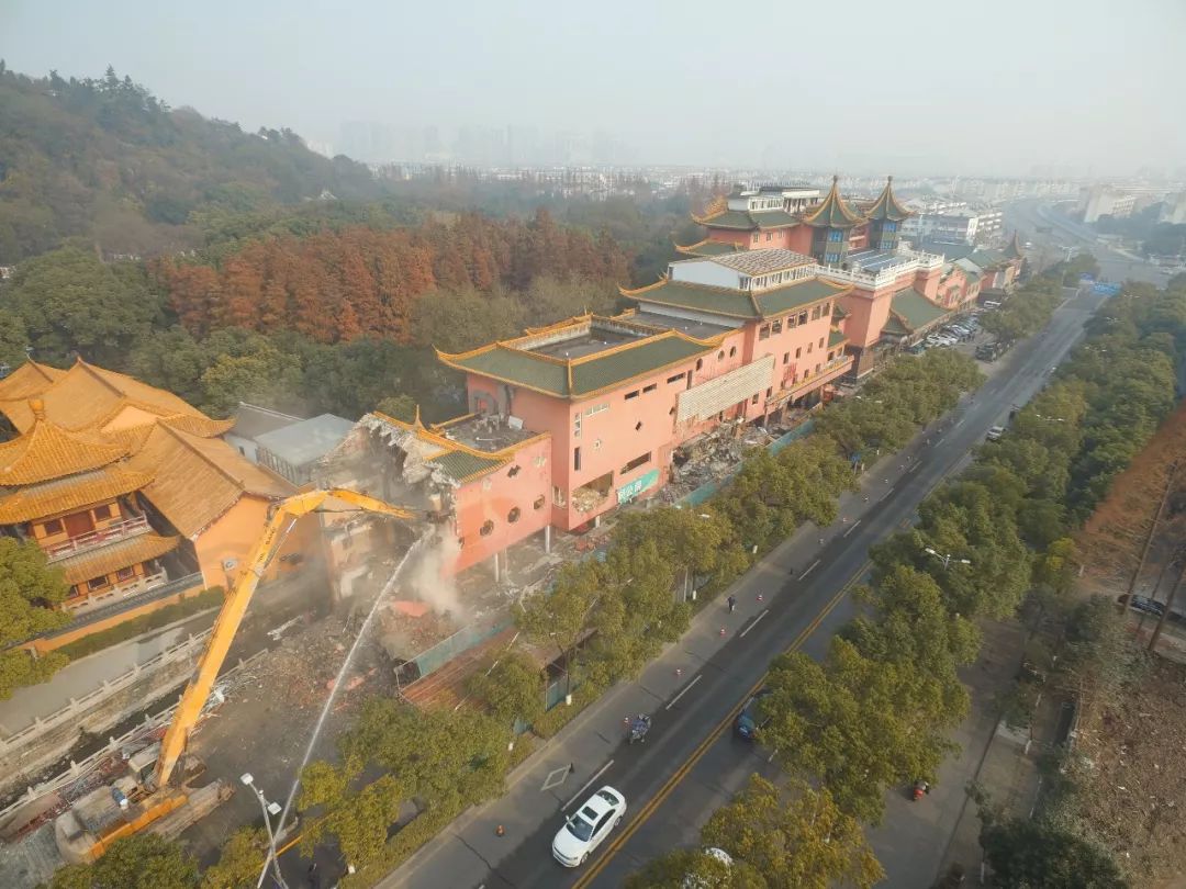 美翻了亭林园亮山工程取得大进展里面情况让人看呆