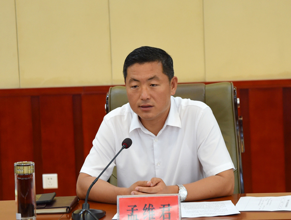 7月29日,区委副书记,区长孟维君主持召开"寻梦桑源"大型山水实景文艺