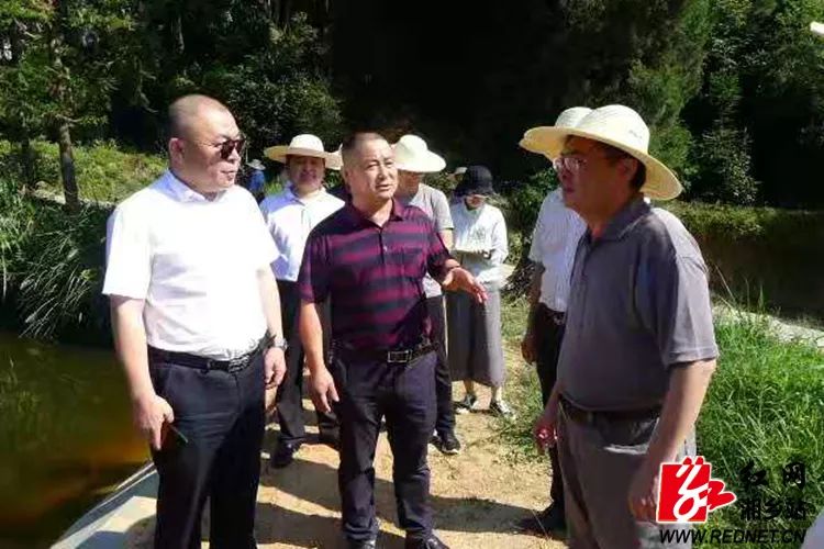 湘乡农业水价改革见成效:精准计量,保障节约用水