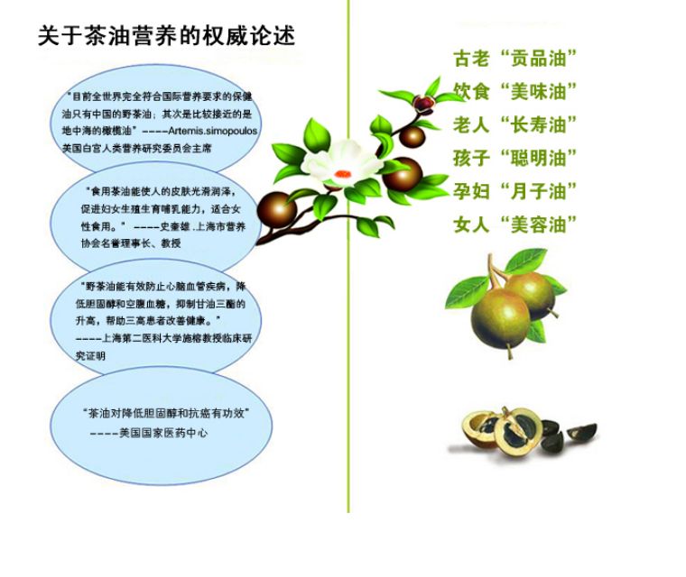 油茶的功效与作用图片