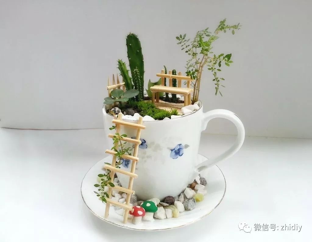 杯中景 | 用一只杯子打造属于自己的梦幻天堂 (附微缩景观教程)_种植