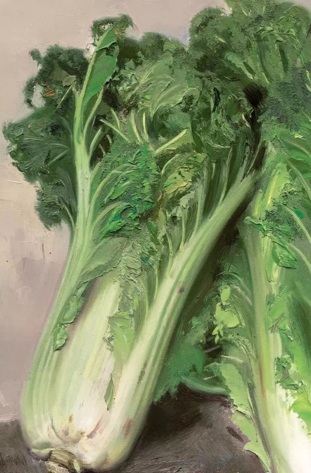 冷军评价他画的白菜是天下第一白菜真实到无可挑剔