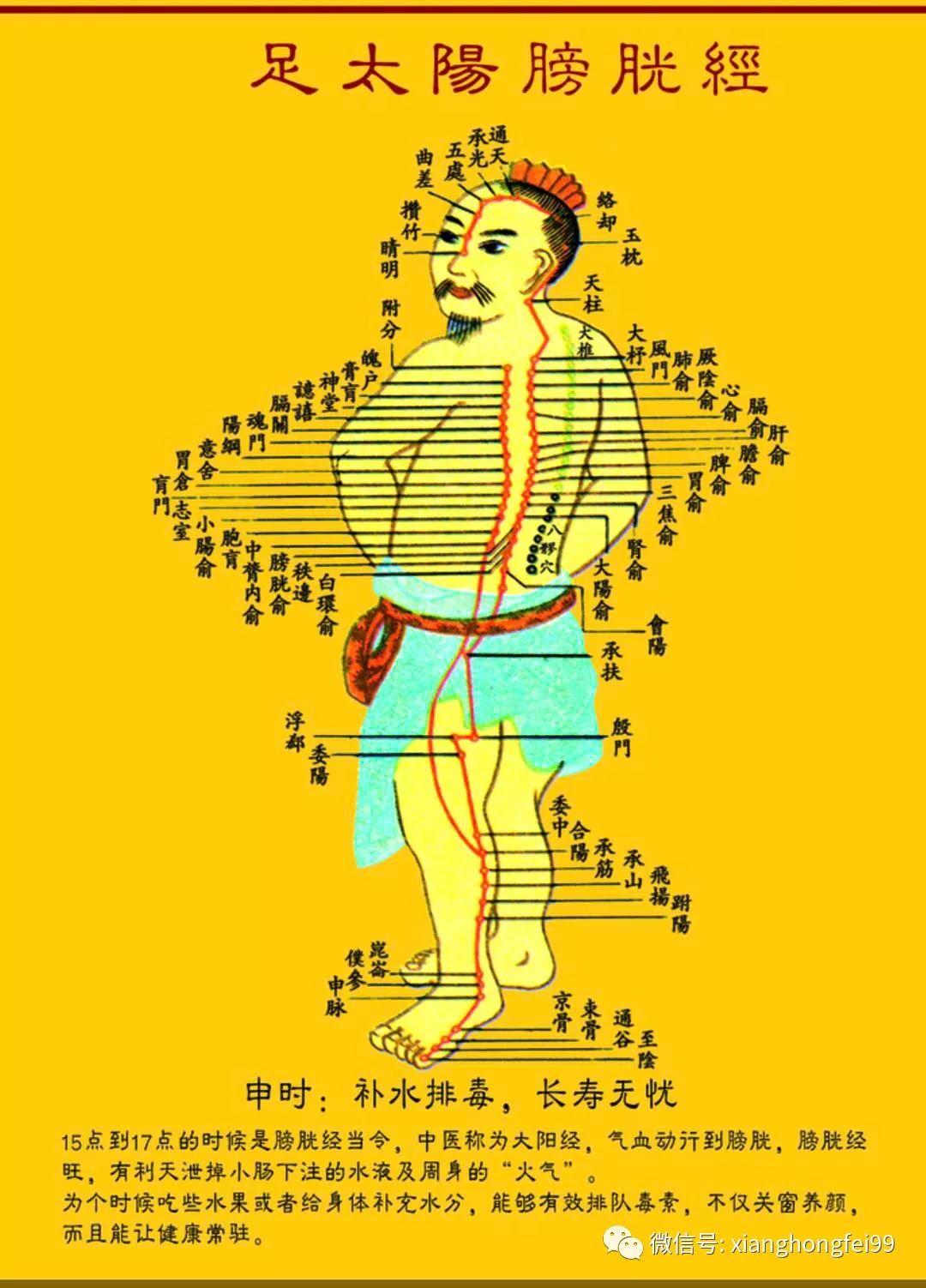 经络不通的十四个常见症状,看看你有没有中招!_太阳