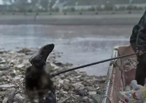 华山接连发生命案捞尸队背后究竟隐藏了什么真相