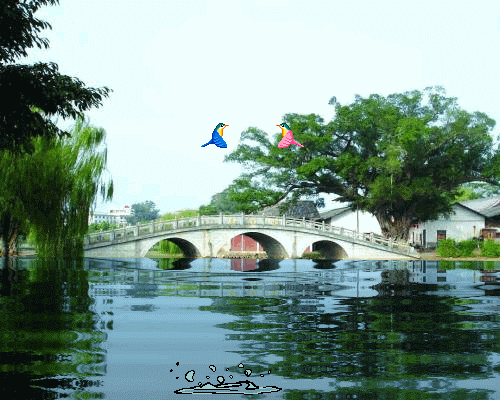 500_400gif 动态图 动图