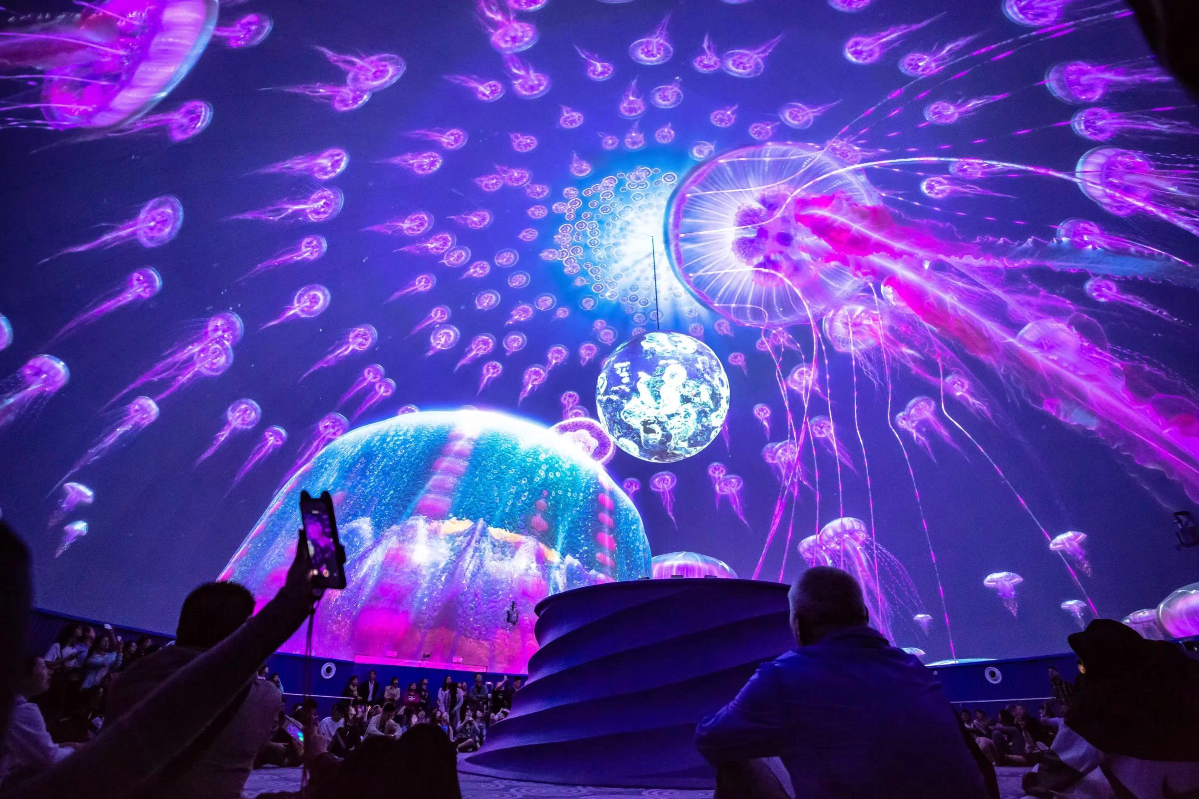 极挑公演会震撼袭来先来上海海昌海洋公园打卡爱豆同款项目吧