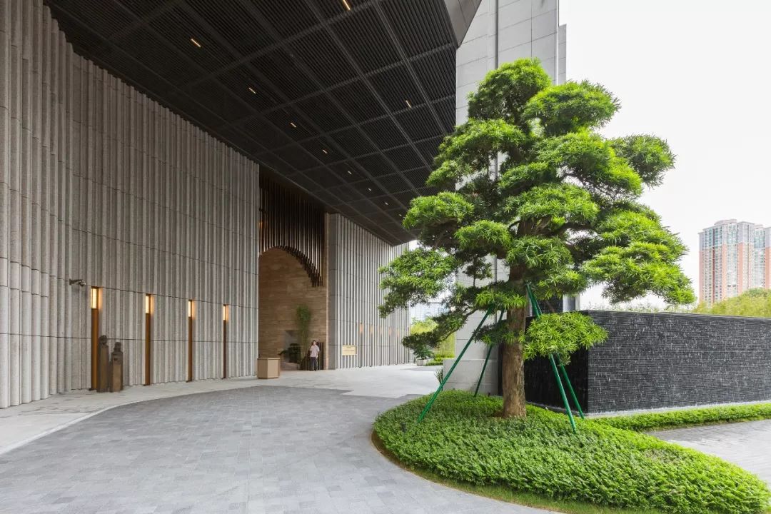 kpf与yabu联手打造67都市谧境深圳柏悦酒店今日优雅启幕