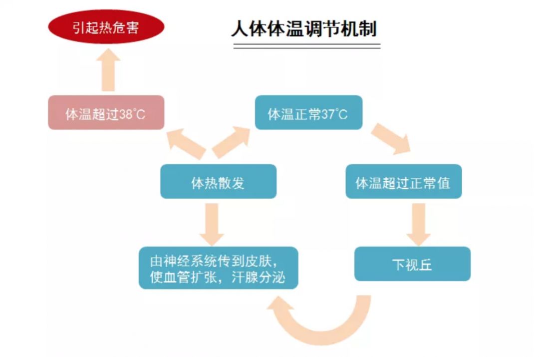 前段提到體感溫度會因不同的溼度,風速,直接日照和人體基礎代謝率等而