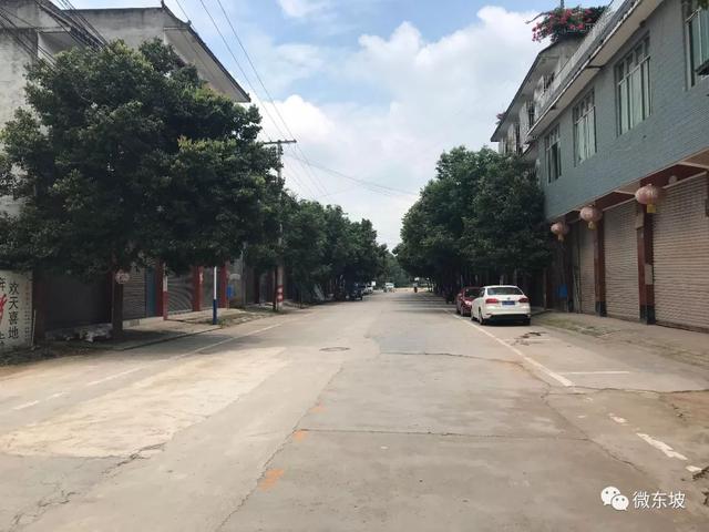 东坡区乡镇创文单月检查顺利完成