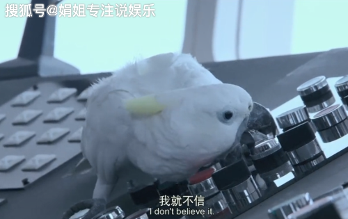 动物出击以孩子和动物视角看待环境污染狗狗舍身拯救人类