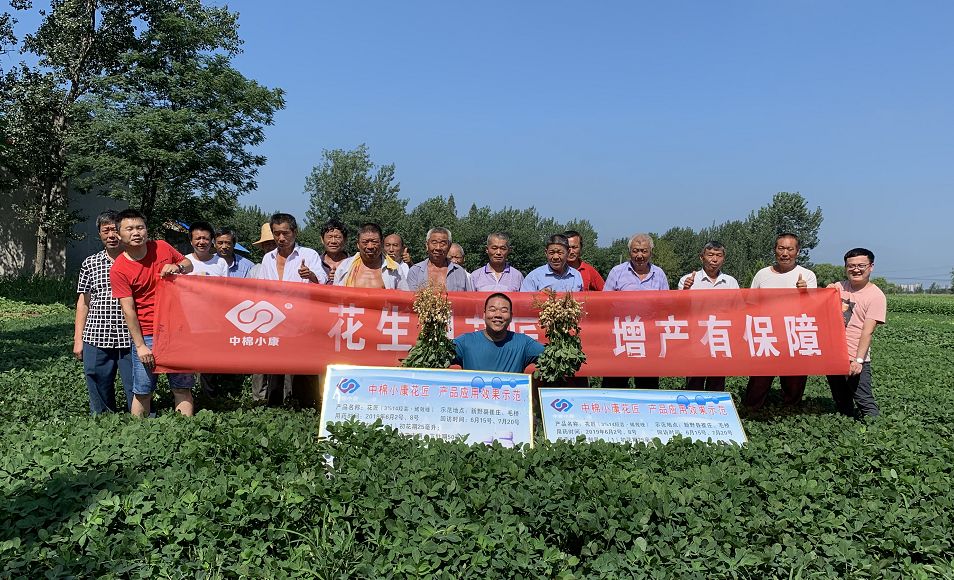 【示范观摩会】花生用花匠  增产有保障