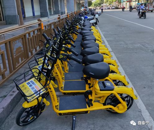 泰寧也有共享電單車了首批投放480輛去旅遊可以這麼騎