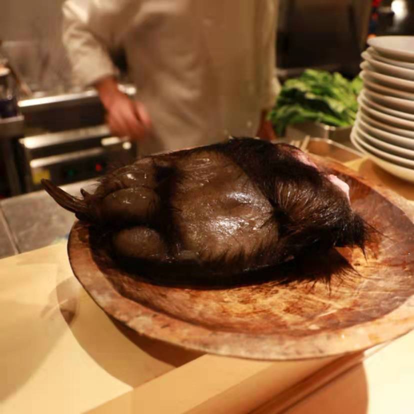 世界上唯一合法吃熊掌的地方!_功效