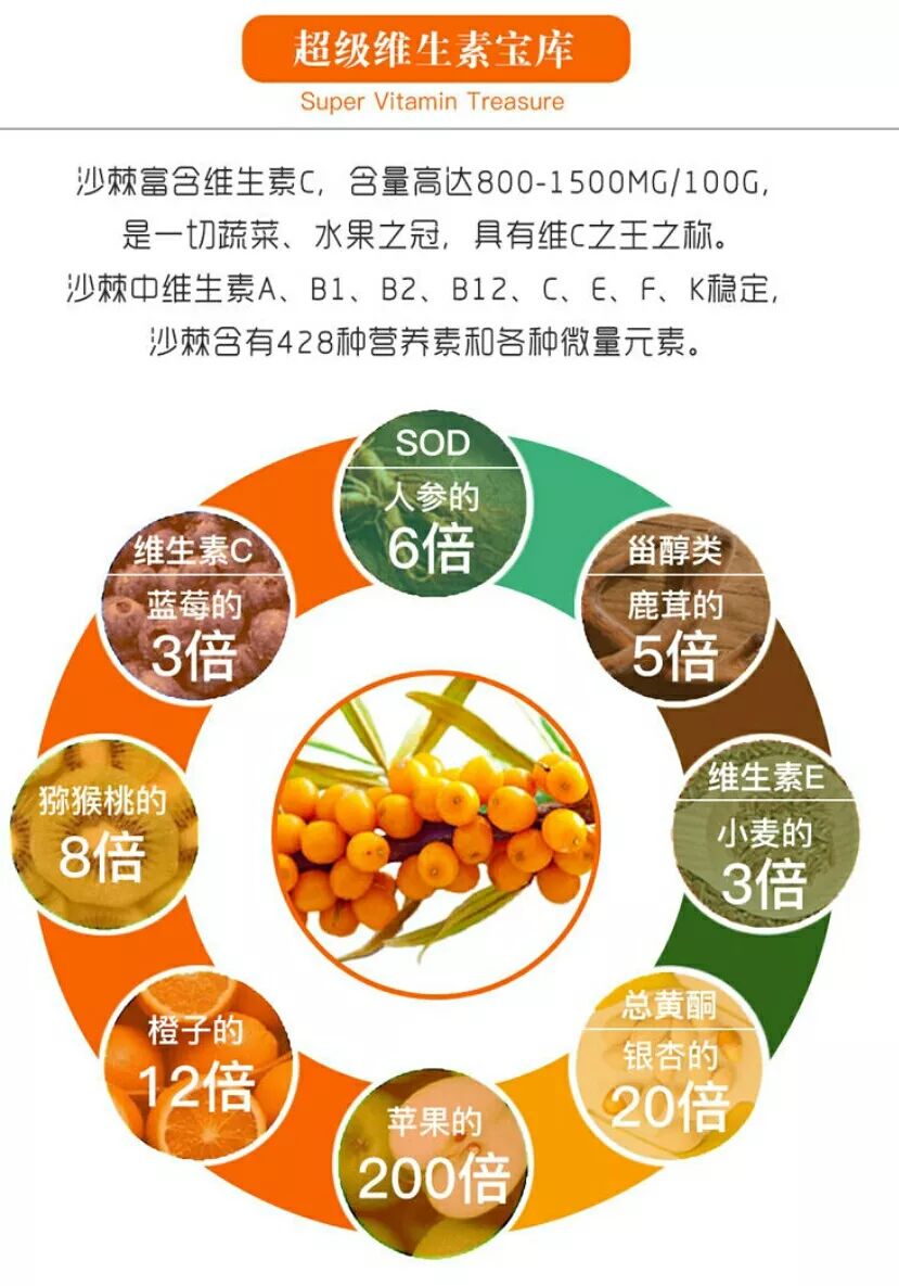 沙棘如何食用图片