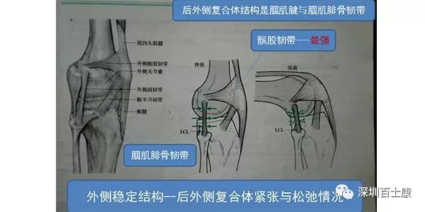 膝关节痛的诊断程序与内热针疗法的临床应用