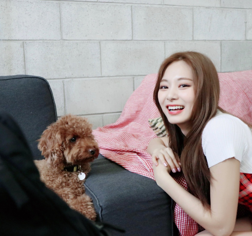 被子瑜妹妹甜甜的笑容给治愈了!谁能抵挡住这波bobo攻击