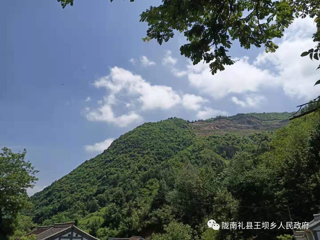 王坝镇 : 美丽乡村留乡愁——风景这边独好!