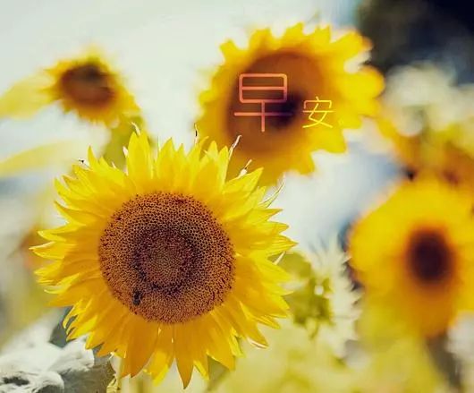 微信说到心坎的唯美情感语录找一条符合心情的发圈吧