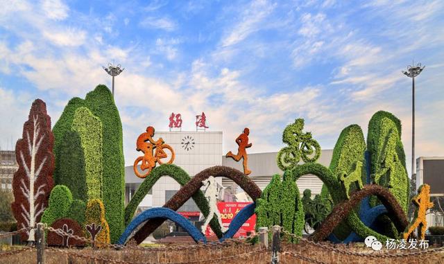 杨凌22岁正青春