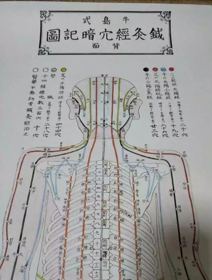 望闻问切针灸位置图片