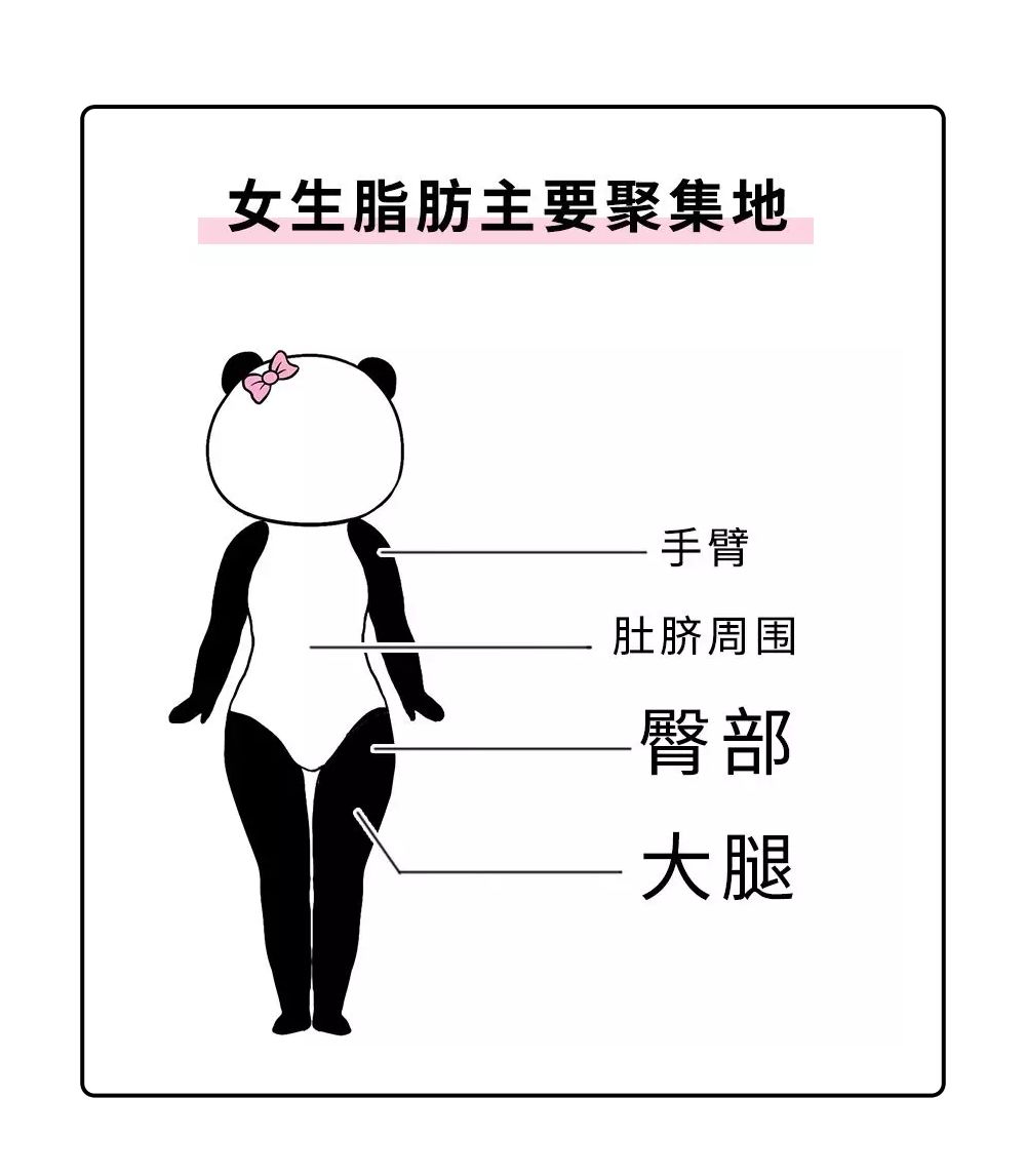 对身体有保护作用属于皮下脂肪堆积在大腿的脂肪这是因为从生理角度来