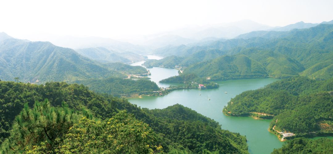 重点开展水体保护,确保饮用水安全特别是在九坑河水库这一饮用水源