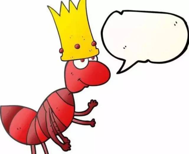 【青山采风】蚂蚁王国/左闪闪_蚁后