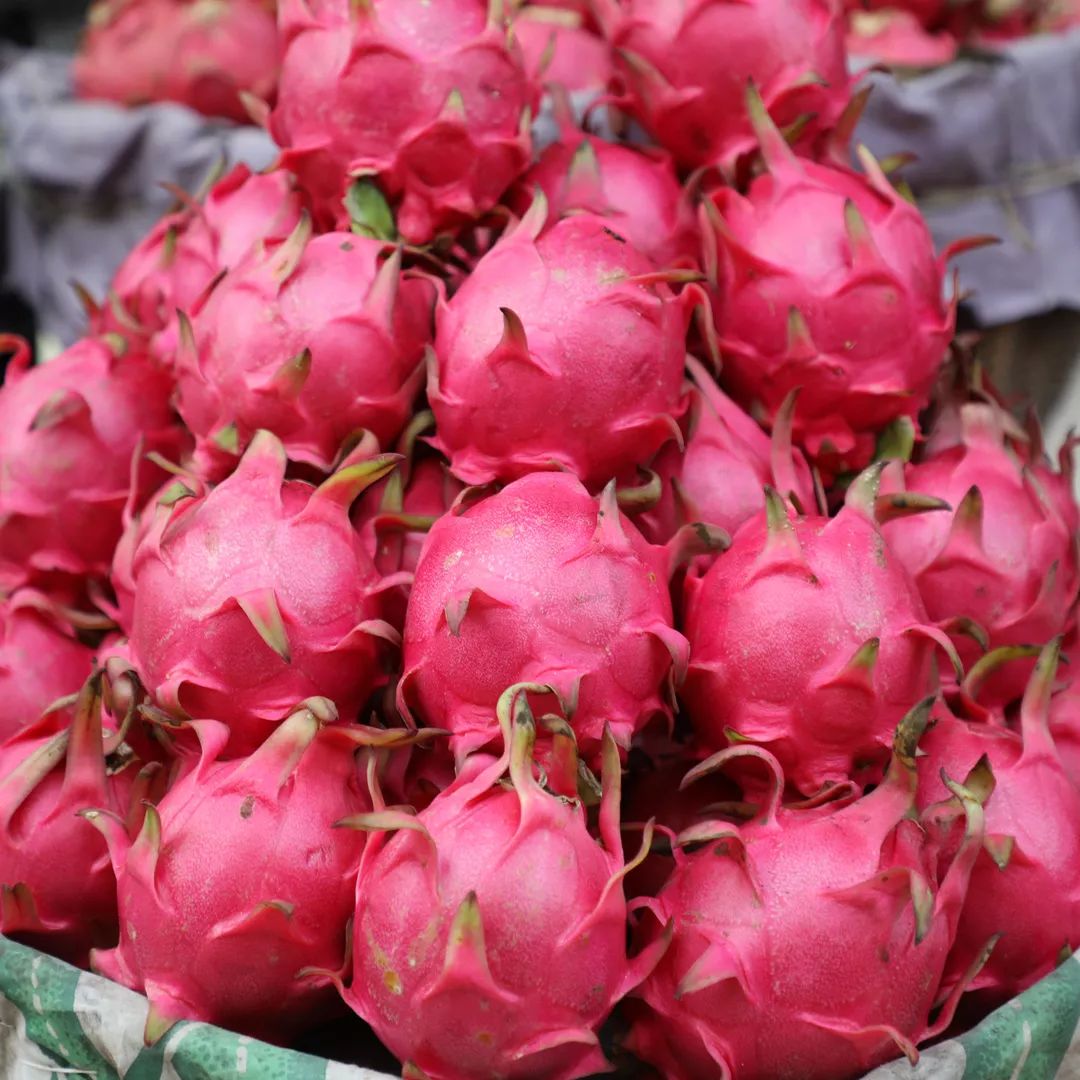 来元江吃水果宴好吃那种