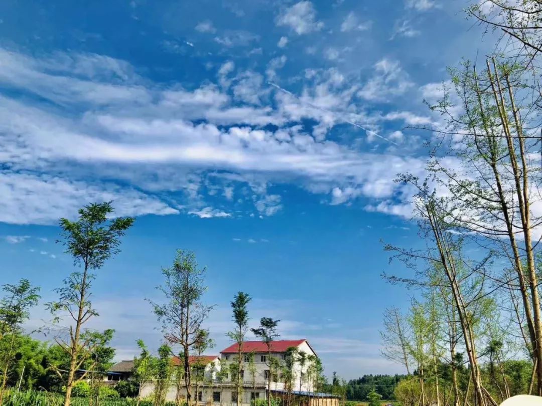 简阳这个地方要发了!打造最美天府国际田园候机厅,看看是不是你老家!